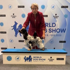 NU CH Quinland New Man In Town