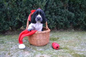 god jul