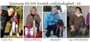 NM-spaniels-16