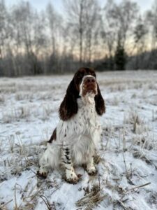 UserfilesUploadimagesModulesNews0_Haylee-sitter-vinter.jpg